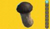 Sbra mushroom 8.jpg