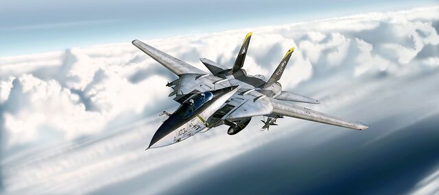 Grumman F-14 Tomcat - Canadian Power Wiki