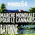 Bayonne 2014 May 10 France.jpg