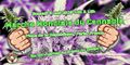 Thumbnail for version as of 23:37, 12 April 2025