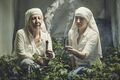 Cannabis-growing nuns.jpg