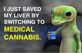 I just saved my liver by switching to medical cannabis.jpg