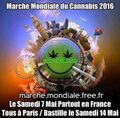 France 2016 May 7 and 14. World Cannabis March.jpg
