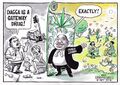 South Africa legalizes cannabis in September 2018.jpg