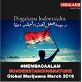 Indonesia 2016 May 7 Global Marijuana March 3.jpg