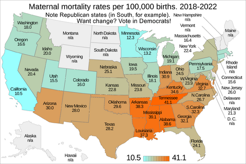 Maternal mortality rates per 100,000 births by state. US map.png