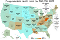 Drug overdose death rates per 100,000 by state. US map.png