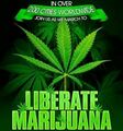 Global Marijuana March 2.jpg
