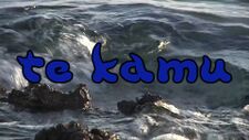 Te Kamu.jpg
