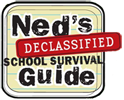 NED-LOGO.png