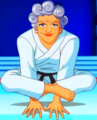 Mrs. Lewis S06E18 Karate 1.png