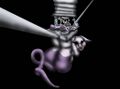The kat s meow by jdstephens2 dfe8gpg-pre.jpg