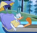 Daisy Duck (Whitewater Don) (10).jpg