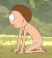 Rm s7e9 2.png