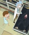 R&M S7Ep4 (4).jpg