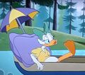 Daisy Duck (Whitewater Don) (12).jpg