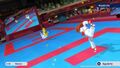 Peach vs. Daisy MSOPTK2020 Karate 12.jpg
