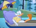 Daisy Duck (Whitewater Don) (14).jpg