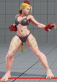 Cammy SFV Swimsuit 1.png