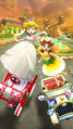 MKT Princess Tour Peach & Daisy.png