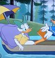 Daisy Duck (Whitewater Don) (8).jpg