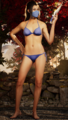 Kitana MK1 Bikini 1.png