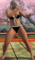 Vanessa Lewis VF5SH Bikini 6.png