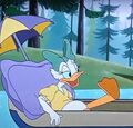 Daisy Duck (Whitewater Don) (11).jpg