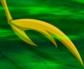 Janet van Dyne S01E12 Transformation 4.png