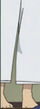 Ran Mouri (DC Ep 1117) (17).png