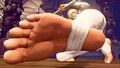 Falke SFV Feet 1.jpg