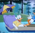 Daisy Duck (Whitewater Don) (7).jpg