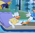 Daisy Duck (Whitewater Don) (6).jpg