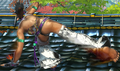 Christie SFXT Original 10.png