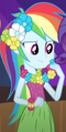 Rainbow Dash (Equestria Girls Short Shake your Tail).png