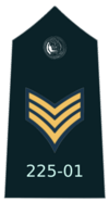 2 Sergeant epaulette.png