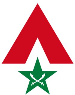 Palestinian Army chevron.jpeg