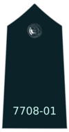 1 Constable epaulette.png