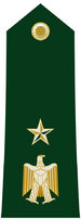 Rank lieutenant colonel.png