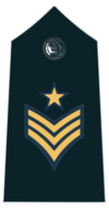 3 Staff Sergeant epaulette.png