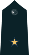 4 Inspector epaulette.png