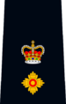 OPP chief superintendent.png