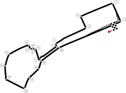 Circuit Baku.svg