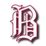 Baltimore barons.png