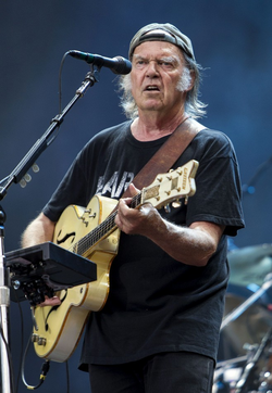 Neil Young.png