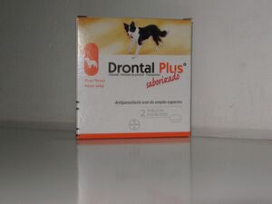 Drontal Plus G 2895.jpg