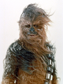 AbominableChewbacca-SWT.png