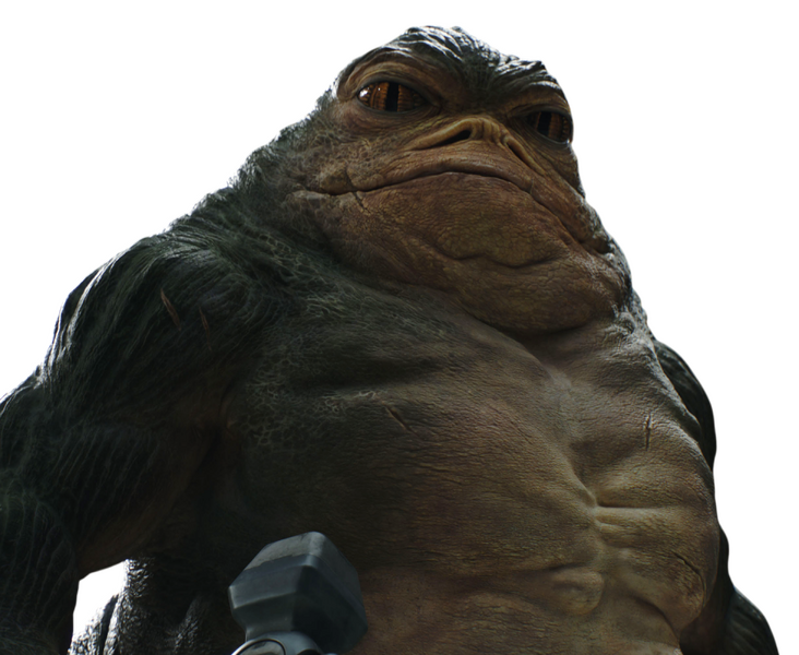 Tiedosto:Rotta aikuisena.png