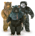 Ewoks Encyclopedia.png