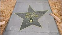 Pamela Hamster's star.JPEG